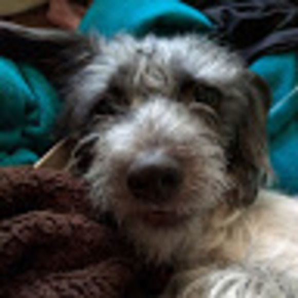 Meet your Posher, Elise - Picture 1 of 1